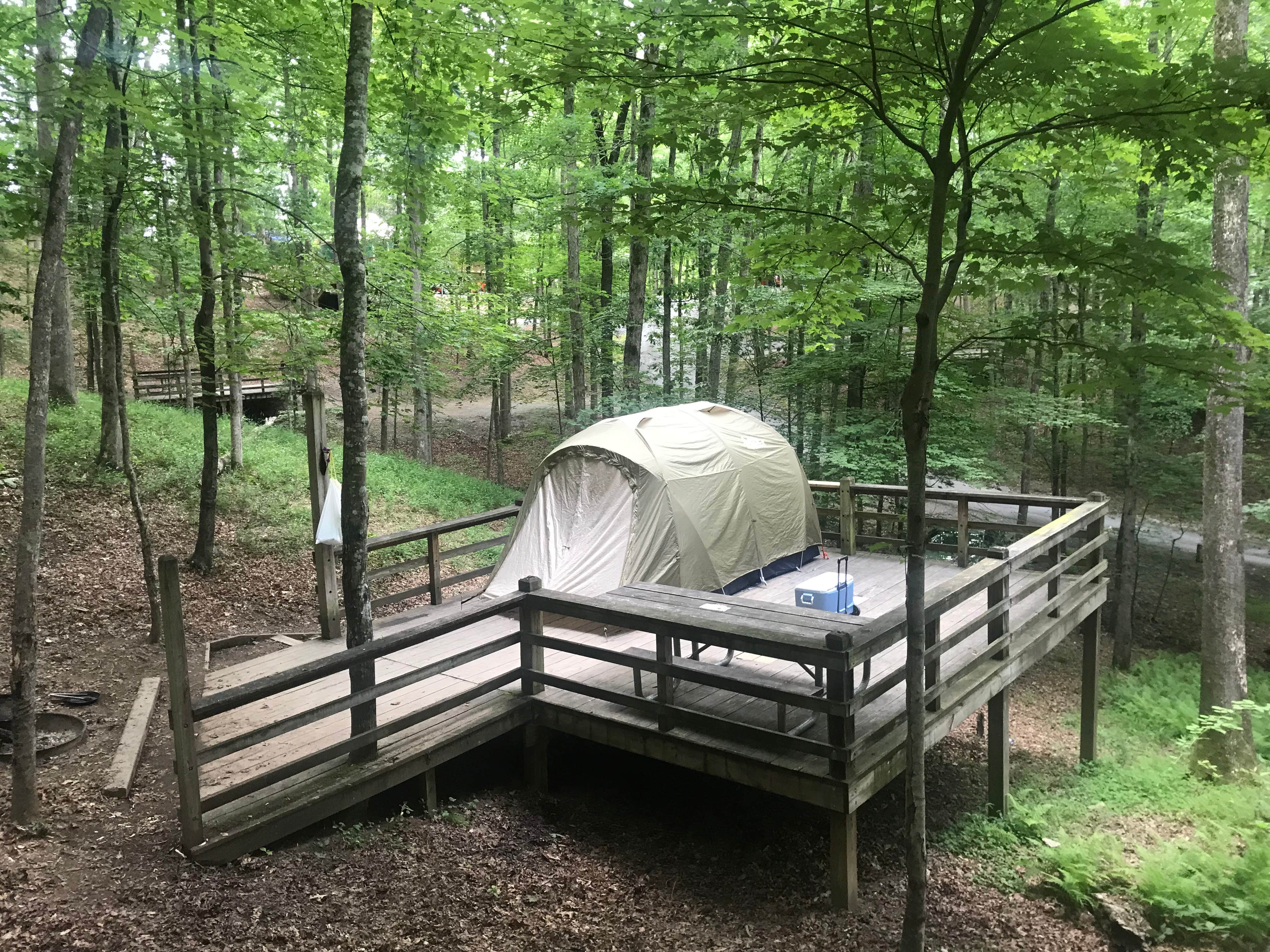 Katie M.'s photo of tent camping at Royal Oak Campground — Hungry Mother State Park near Bluefield, WV