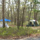 Review photo of Bass River State Forest by Ellen C., May 29, 2019