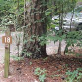 Review photo of Pickwick Landing State Park Campground by Jeremy H., July 17, 2019