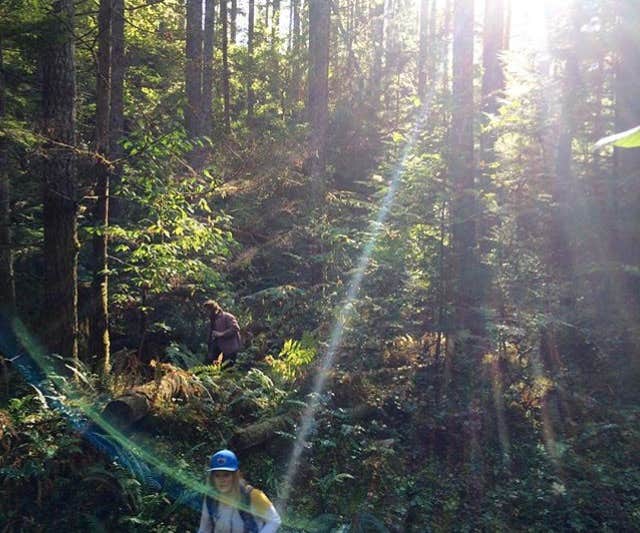 Camper submitted image from Upper Duckabush — Olympic National Park - 2