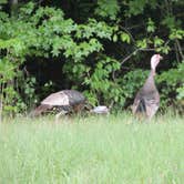 Review photo of Pickwick Landing State Park Campground by Jeremy H., July 17, 2019