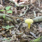 Review photo of Pickwick Landing State Park Campground by Jeremy H., July 17, 2019