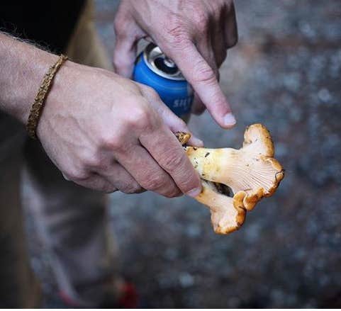 Camping near Sunnybrook Meadows — Olympic National Park: Upper Duckabush — Olympic National Park, Olympic National Forest, Washington