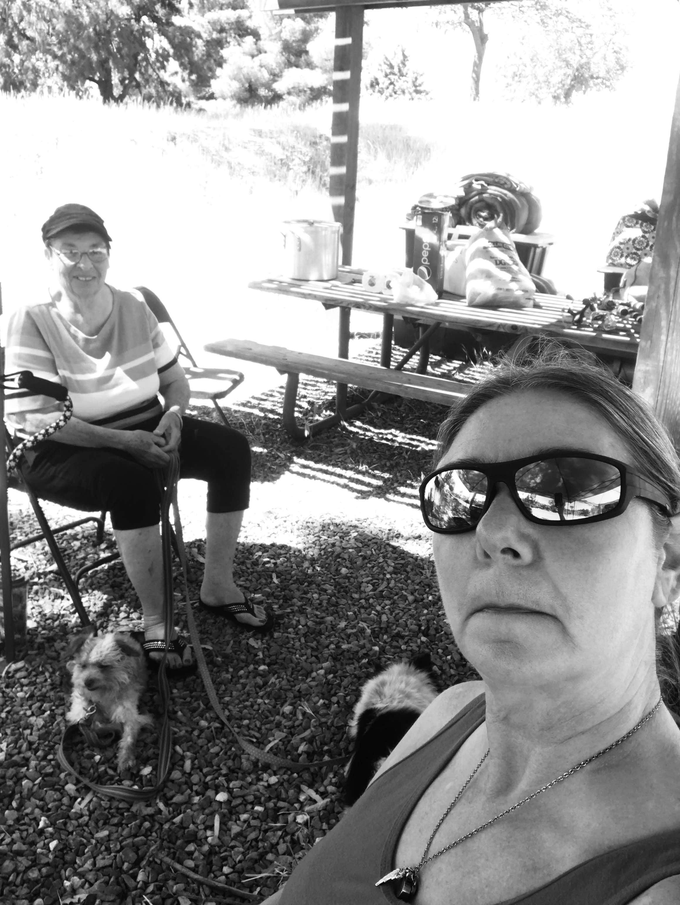 Mark G.'s photo of camping with pets at Lake McSwain Recreation Area near Los Banos, CA
