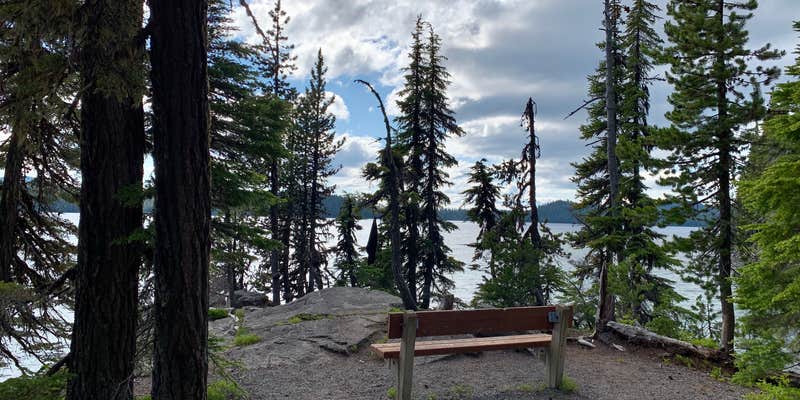 Camper submitted image from Shadow Bay