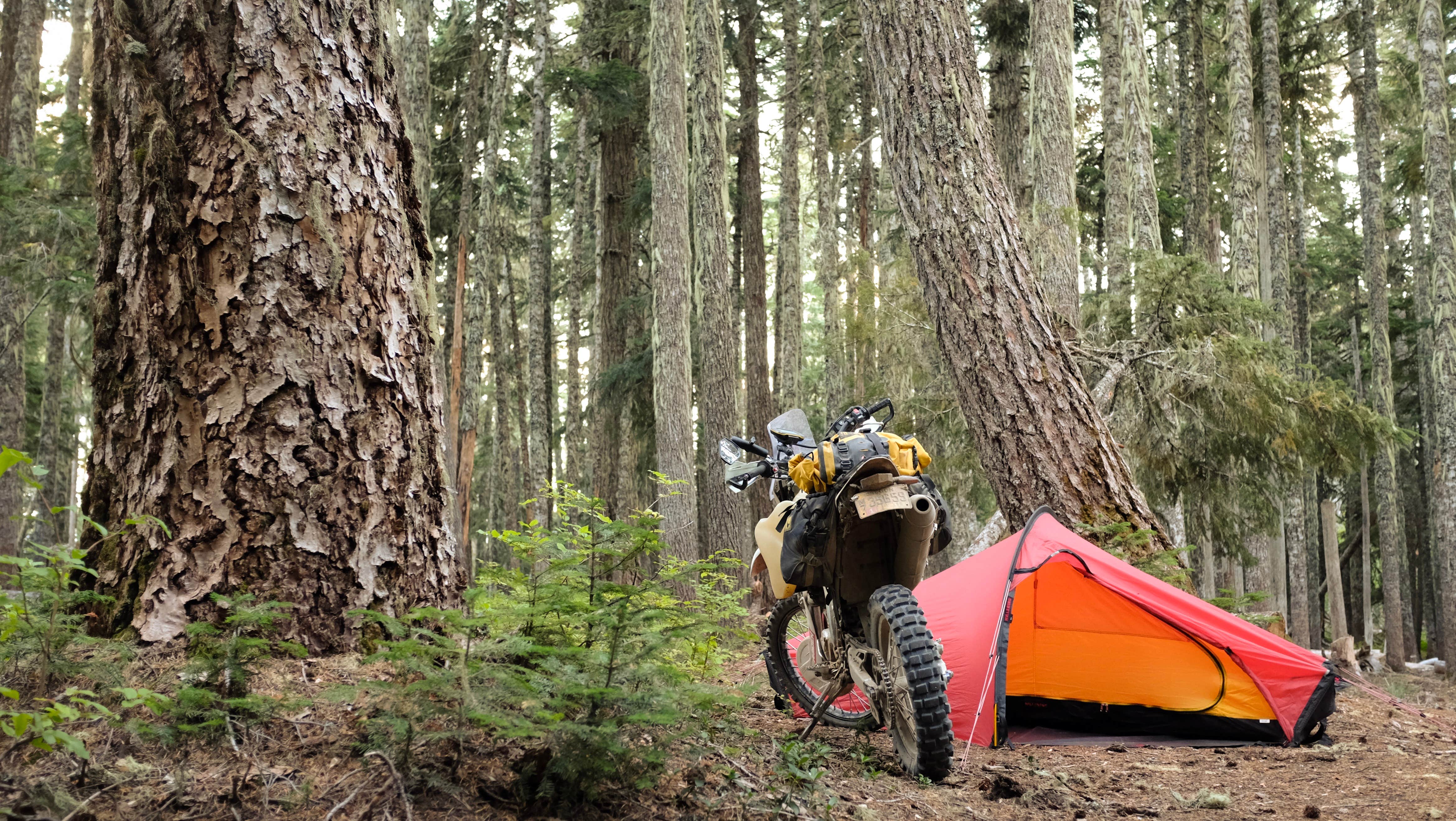Camper submitted image from Rainy Lake Campground - 1