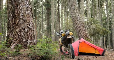 Rainy Lake Campground