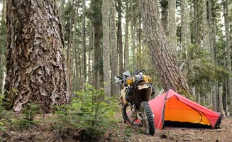Chris H.'s photo of tent camping at Rainy Lake Campground near Ariel, WA