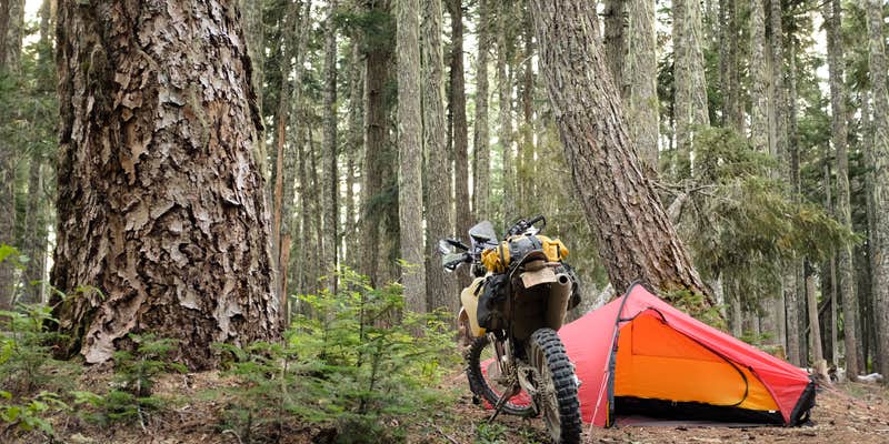 Camper submitted image from Rainy Lake Campground