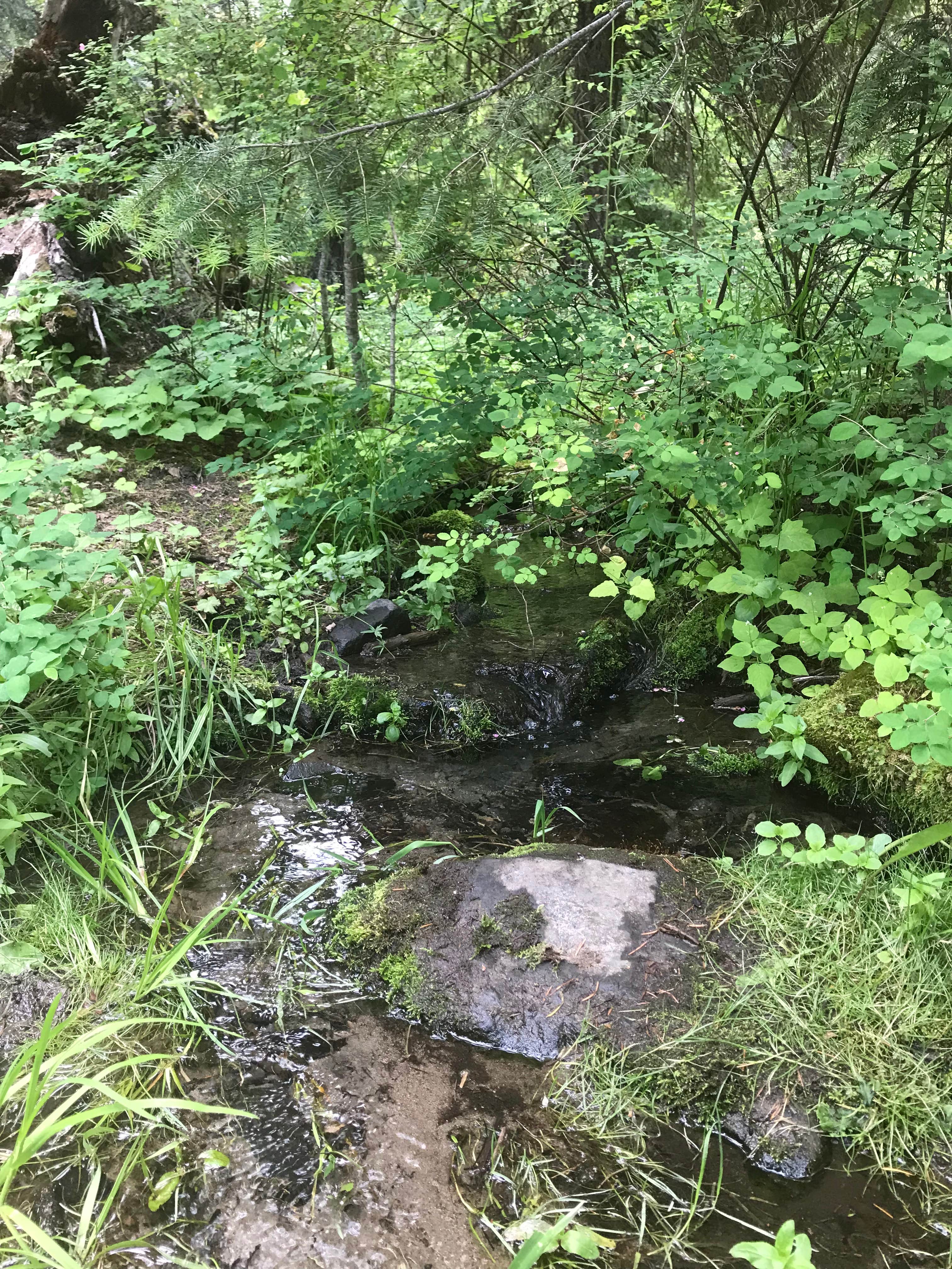 Water