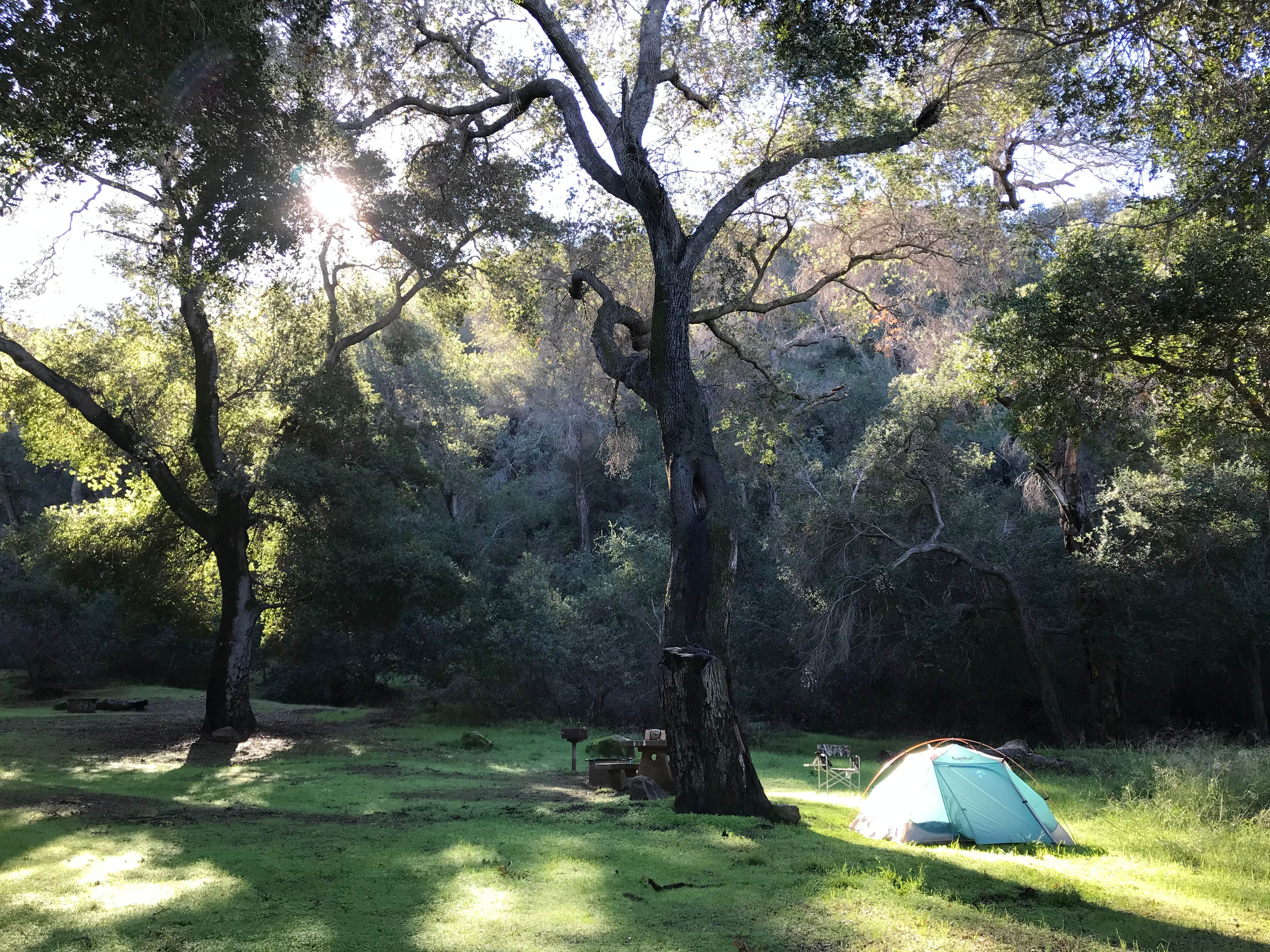Shelby Z.'s photo at Fremont Campground near Santa Barbara, CA