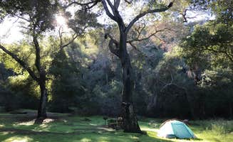 Shelby Z.'s photo at Fremont Campground near Goleta, CA