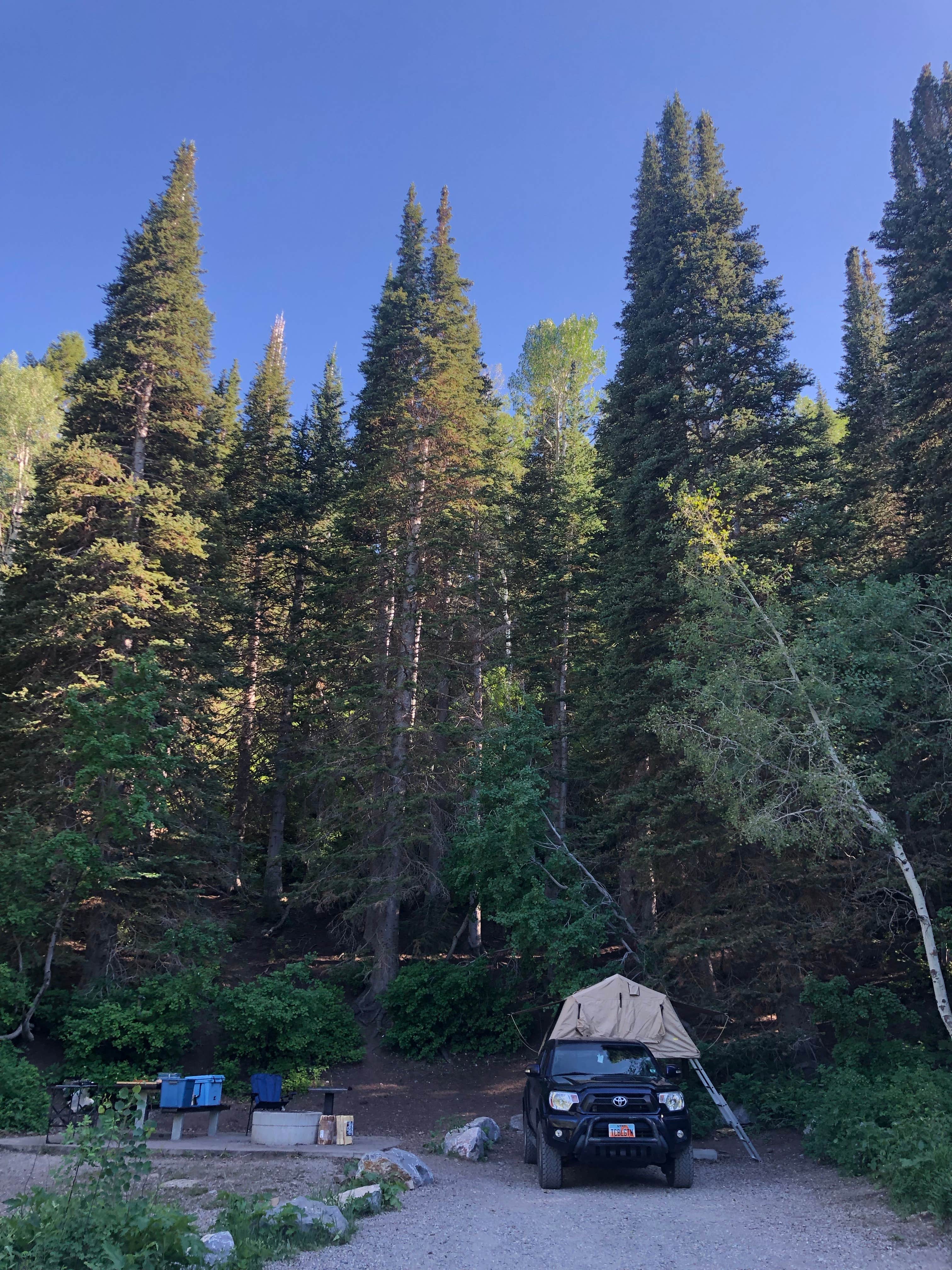 Tom B.'s photo at Timpooneke near Aspen Grove, UT