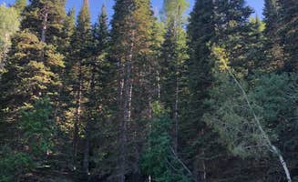 Tom B.'s photo at Timpooneke near Lindon, UT