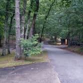 Review photo of Amicalola Falls State Park Camping by Jeanene A., July 18, 2019