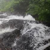 Review photo of Amicalola Falls State Park Camping by Jeanene A., July 18, 2019