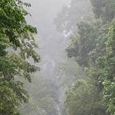 Review photo of Amicalola Falls State Park Camping by Jeanene A., July 18, 2019