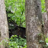 Review photo of Amicalola Falls State Park Camping by Jeanene A., July 18, 2019