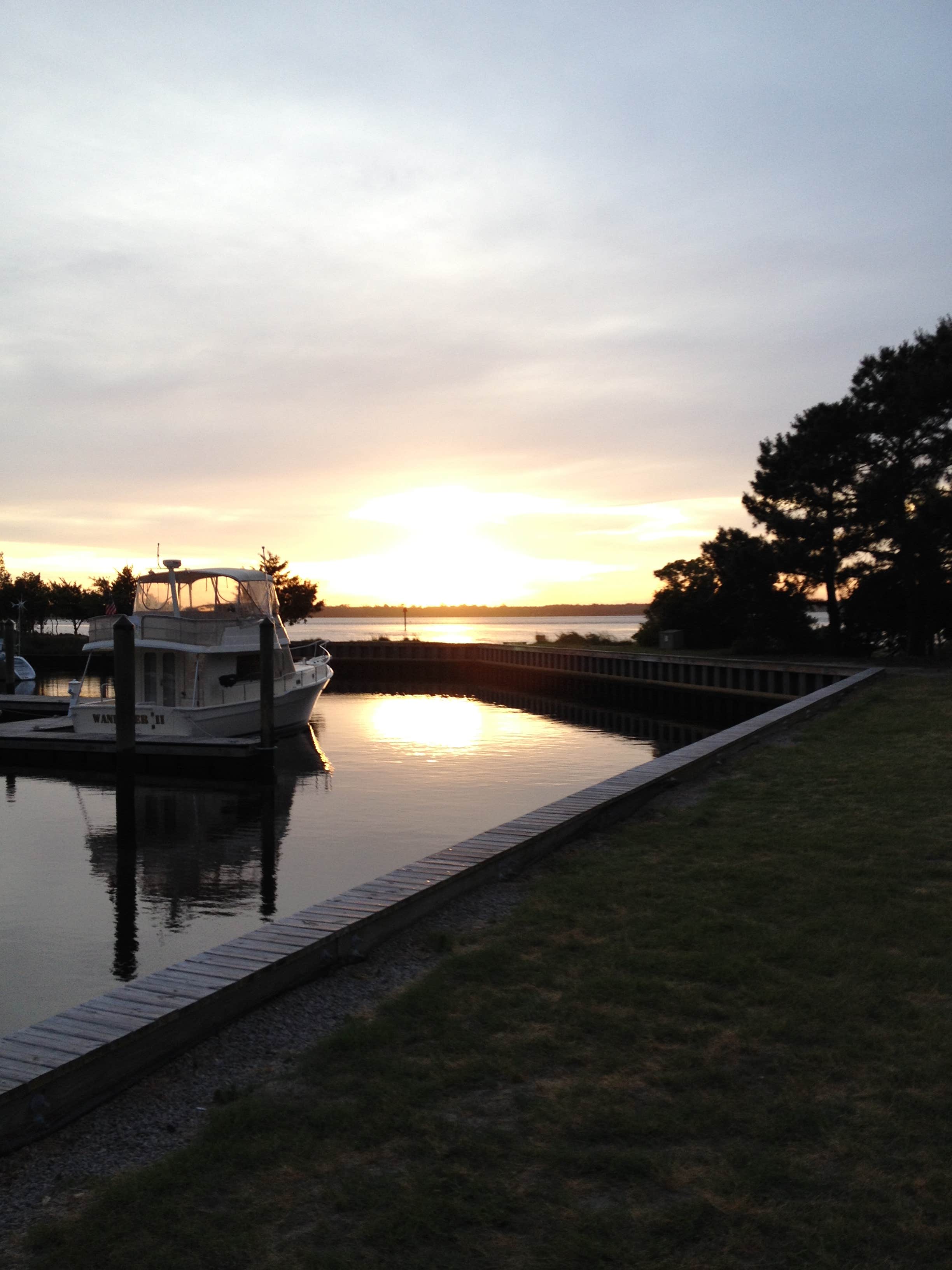 Camper submitted image from Carolina Beach State Park Campground - 5