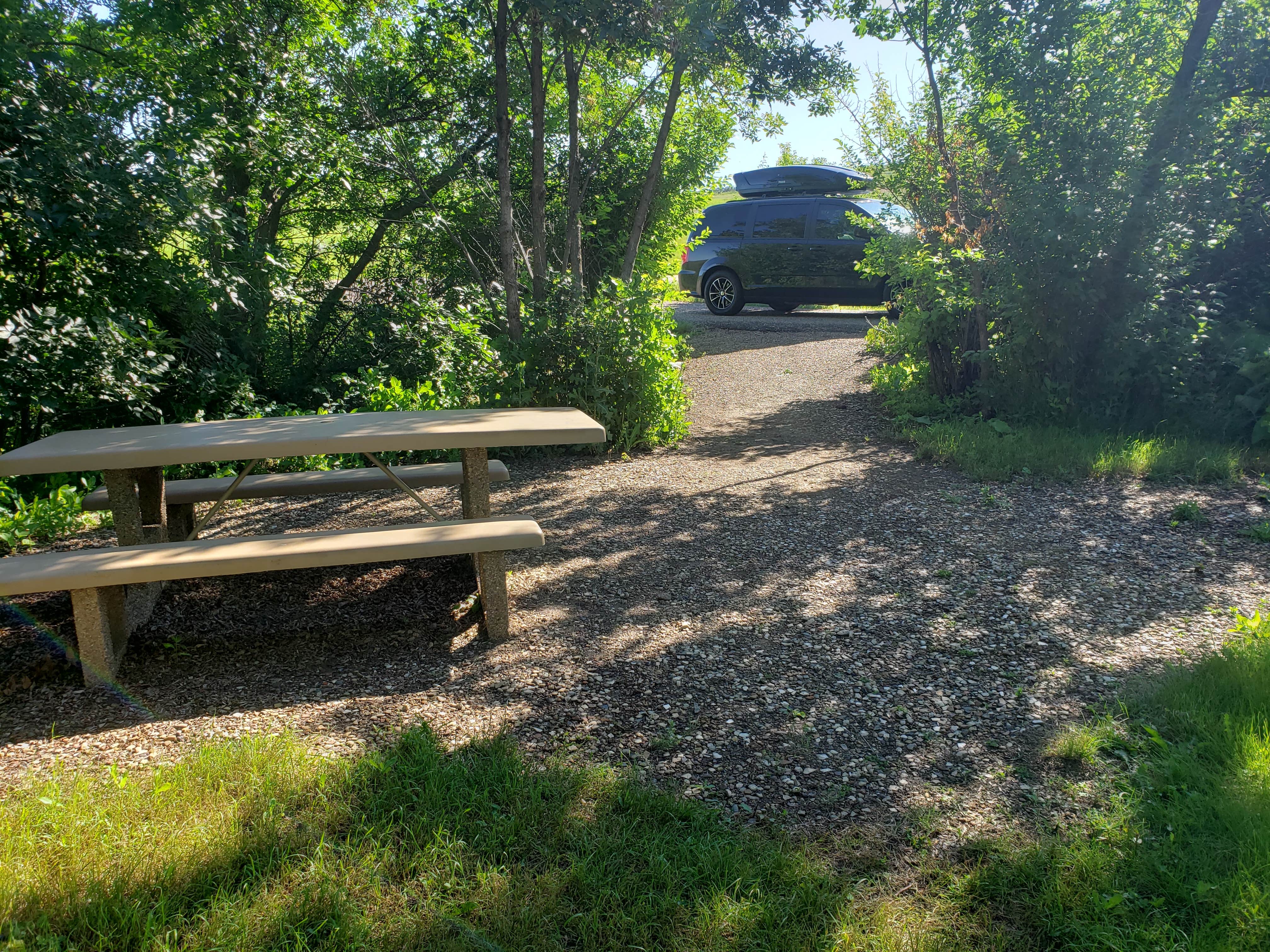 Camper submitted image from Buffalo Gap Campground (ND) - 4