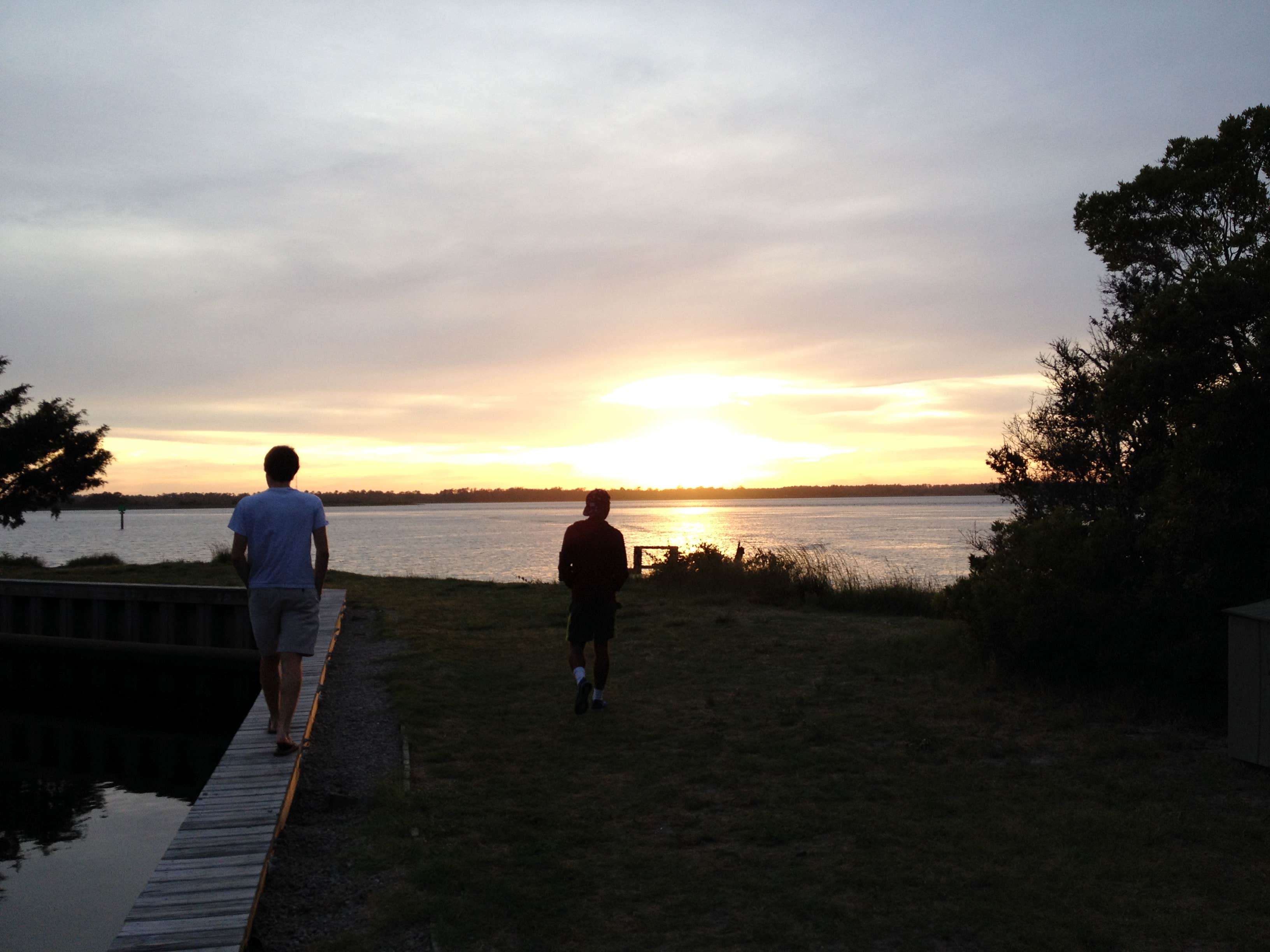 Camper submitted image from Carolina Beach State Park Campground - 4
