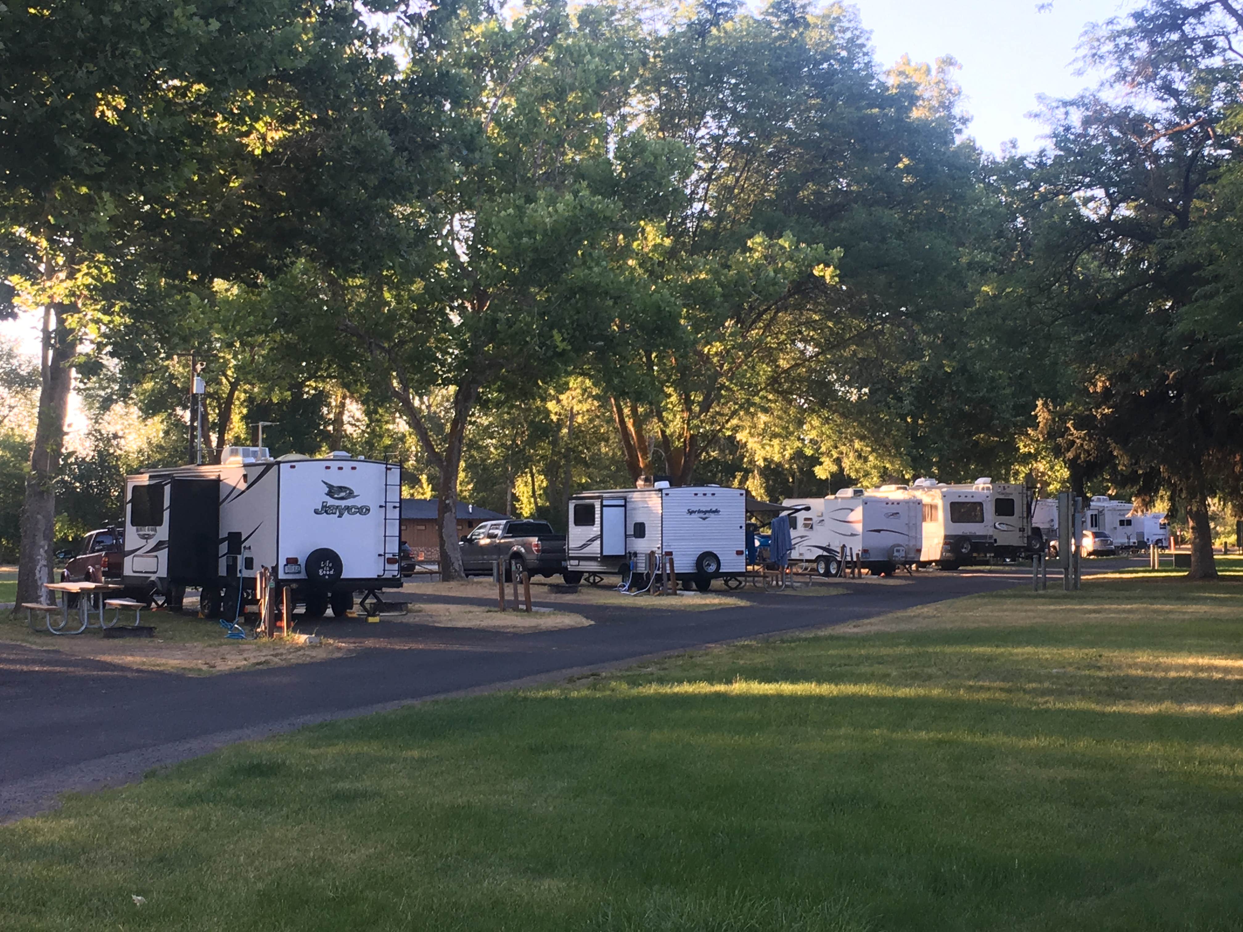 Camper submitted image from Yakima Sportsman State Park Campground - 5