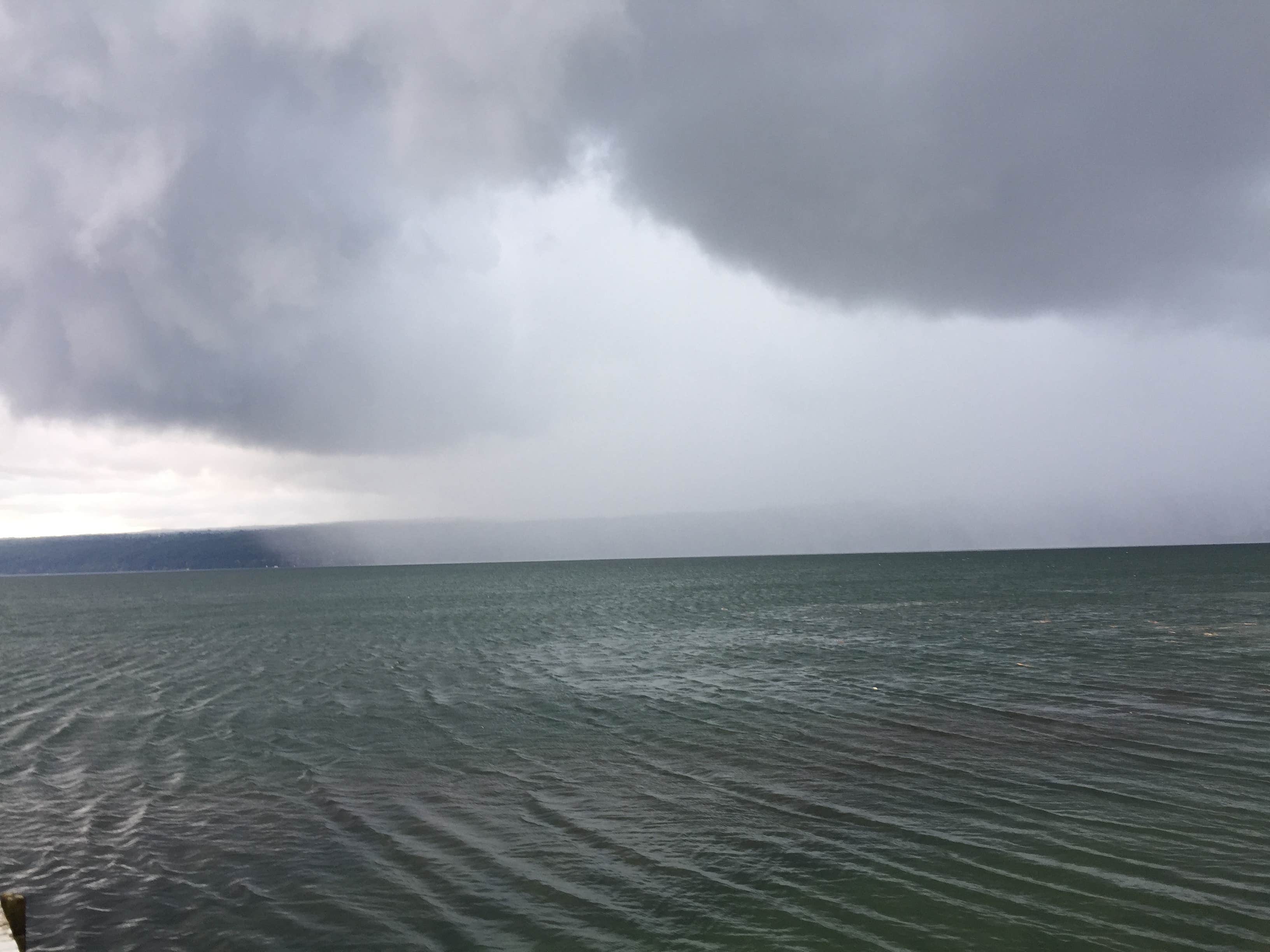 View All