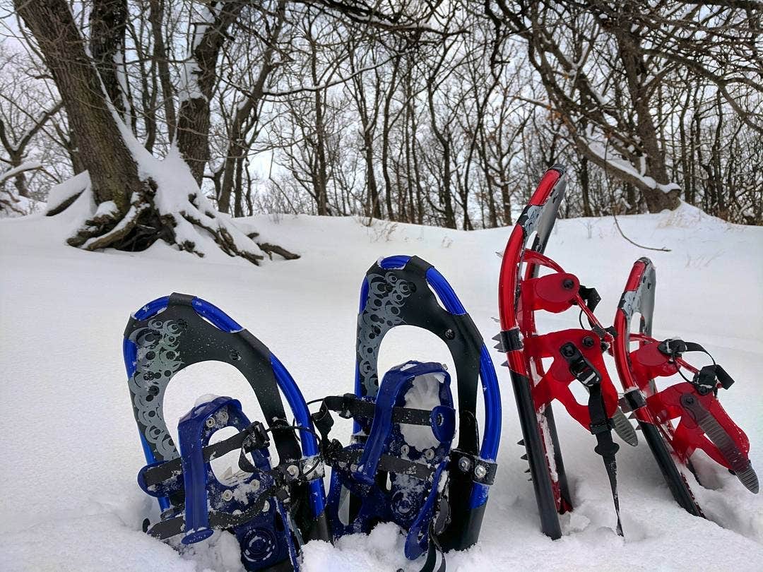 Camper submitted image from Indiana Dunes State Park Campground - 2