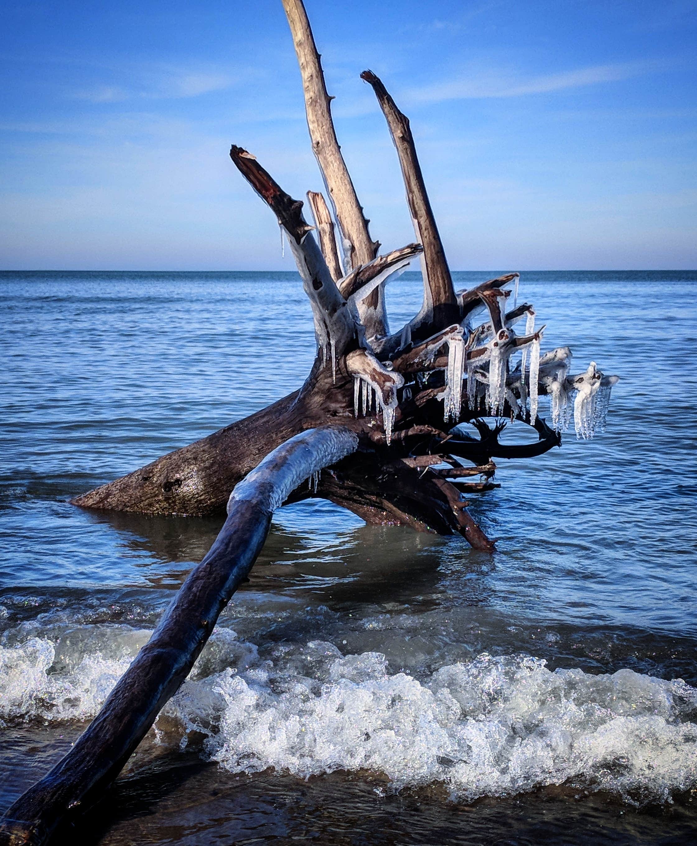Camper-submitted photo at Indiana Dunes State Park Campground in Indiana