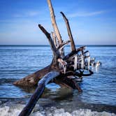 Review photo of Indiana Dunes State Park Campground by Anna G., July 18, 2019