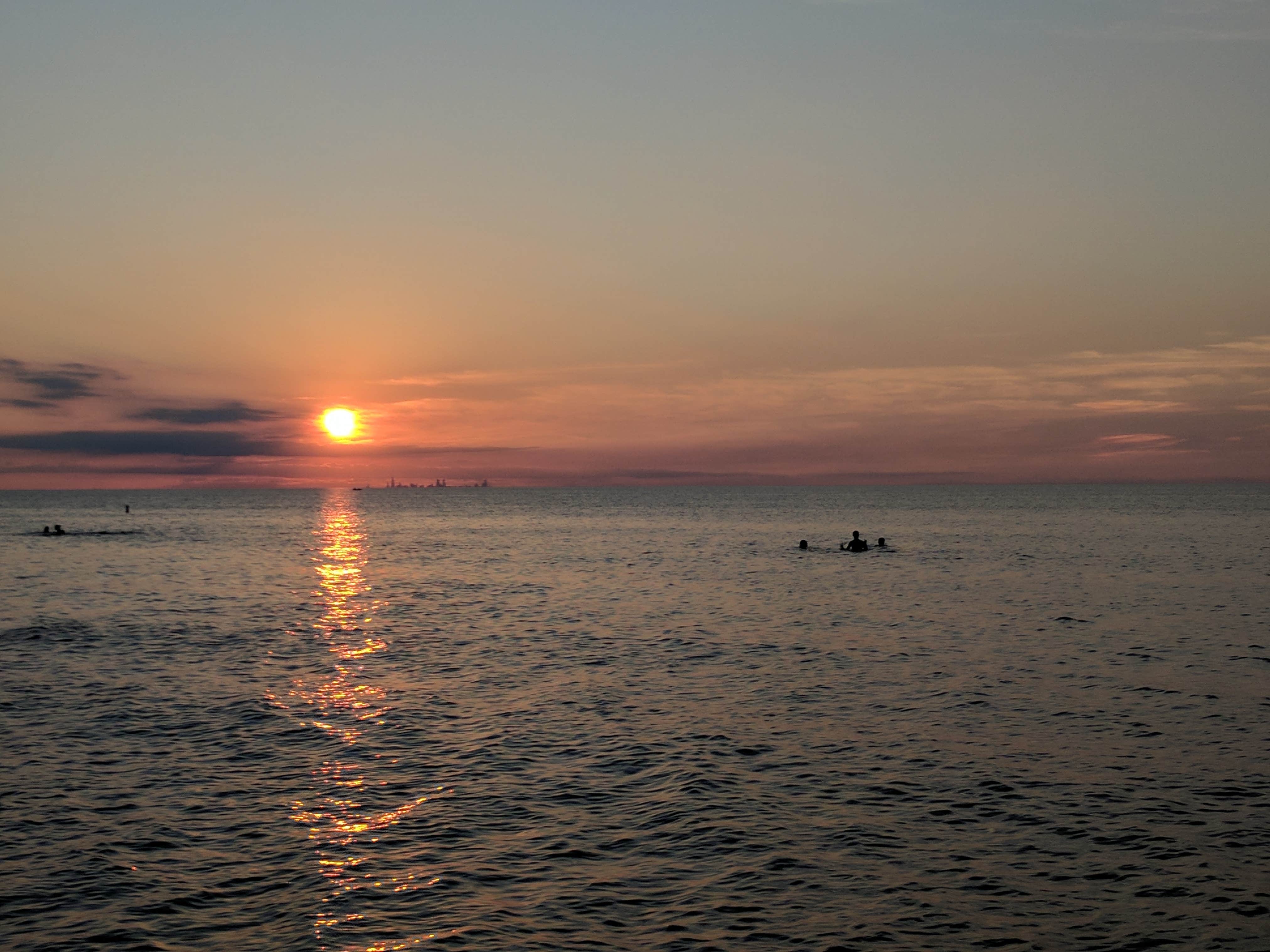 Camper submitted image from Indiana Dunes State Park Campground - 4