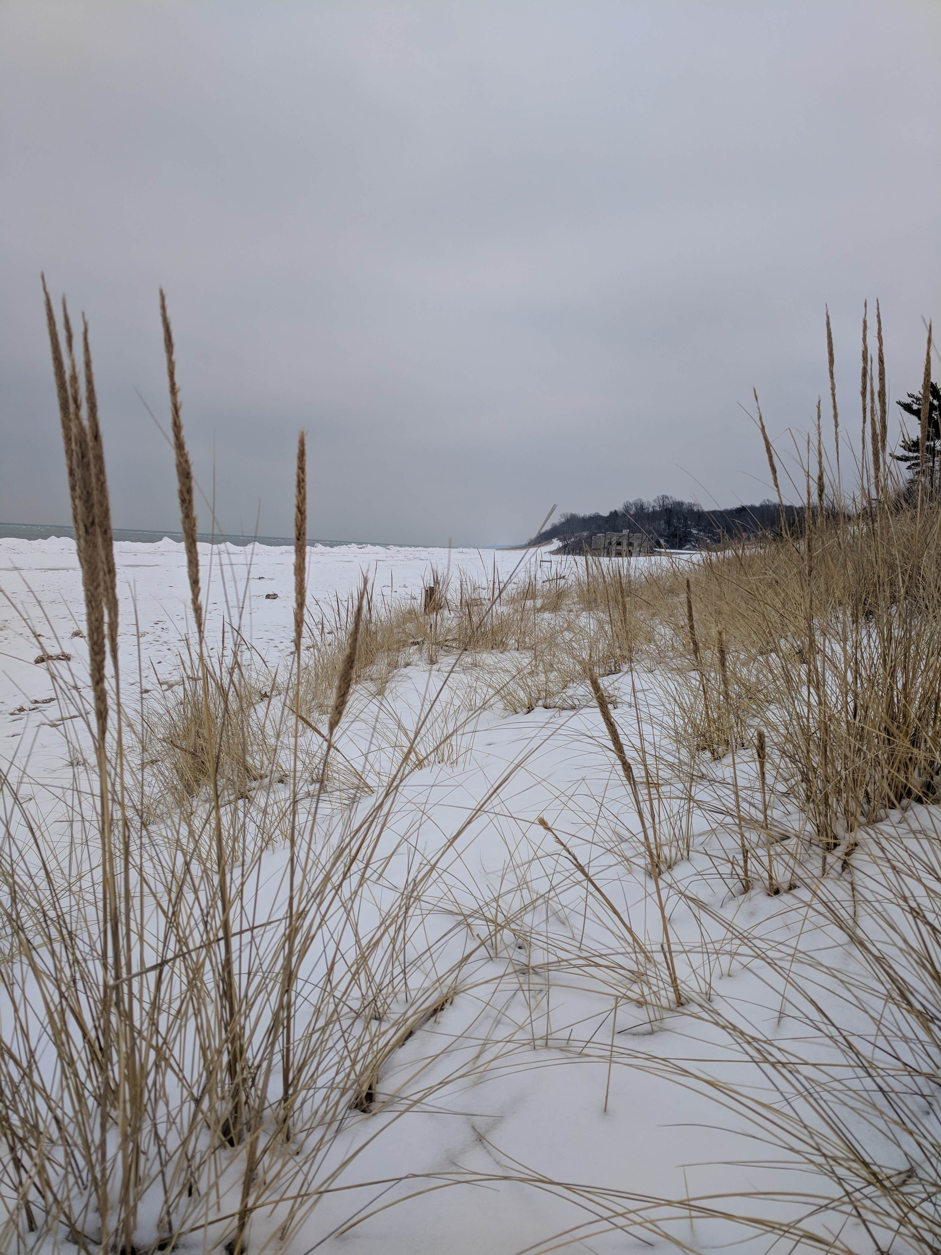 Camper-submitted photo at Indiana Dunes State Park Campground in Indiana