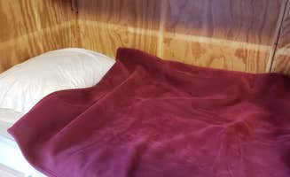 Jeanene A.'s photo of glamping accommodations at Len Foote Hike Inn in Georgia