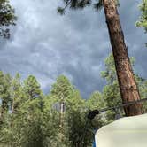 Review photo of White Spar Campground by Cassondra G., July 18, 2019