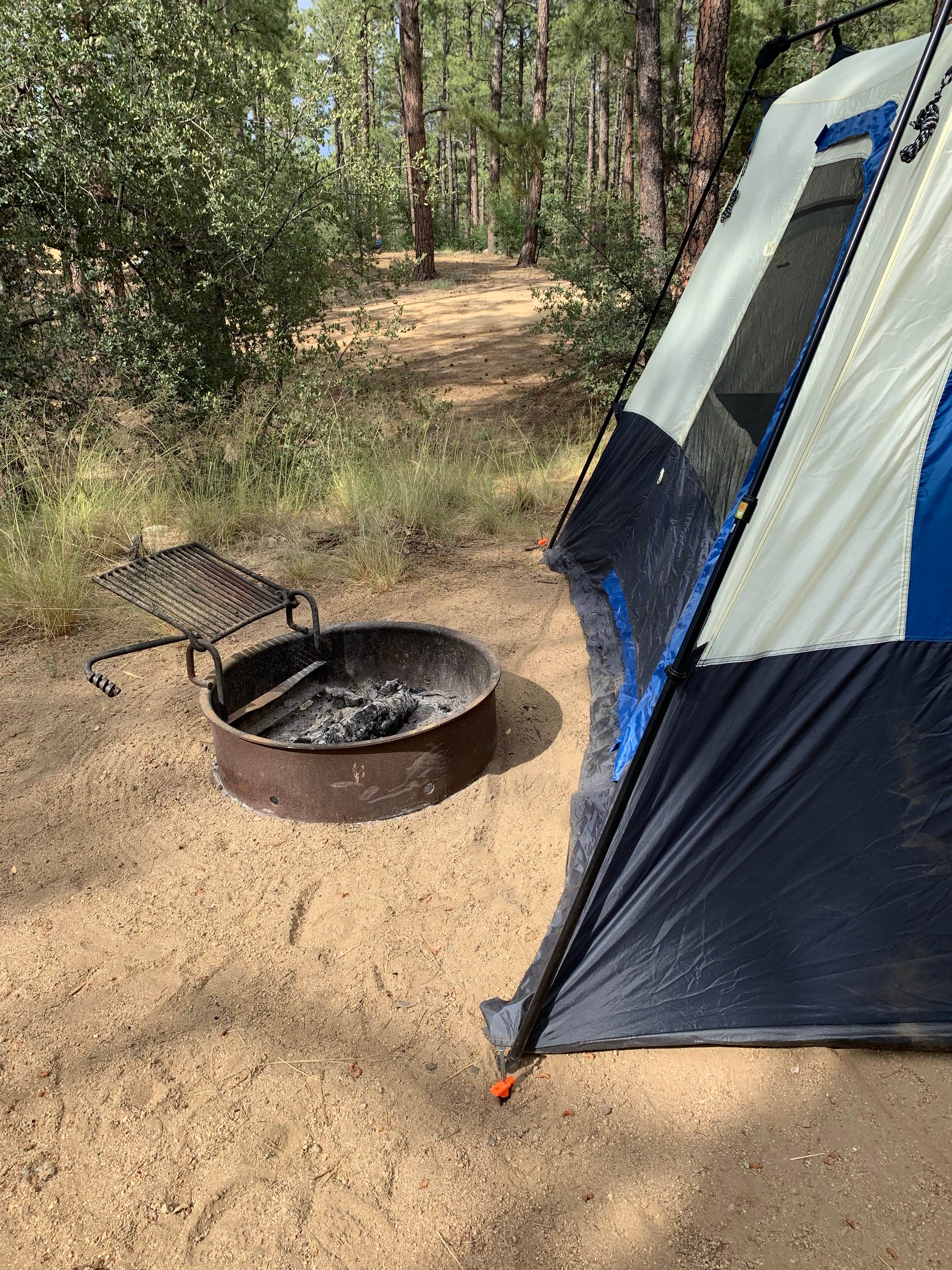 Cassondra G.'s photo at White Spar Campground near Prescott National Forest