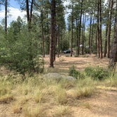Review photo of White Spar Campground by Cassondra G., July 18, 2019
