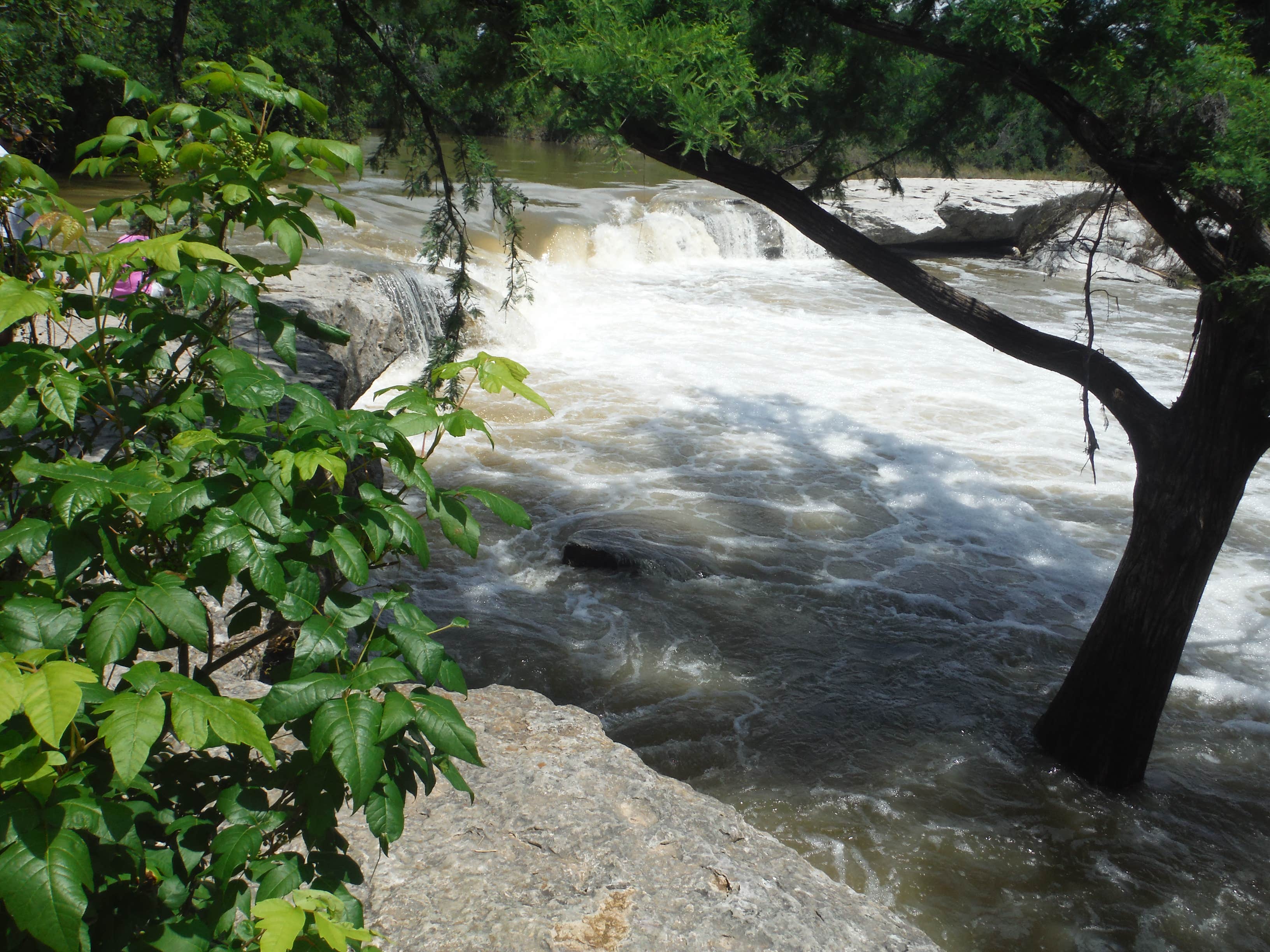 Camper submitted image from McKinney Falls State Park Campground - 3