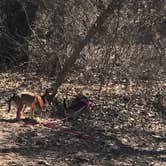 Review photo of Abilene State Park Campground by Boyd W., July 18, 2019