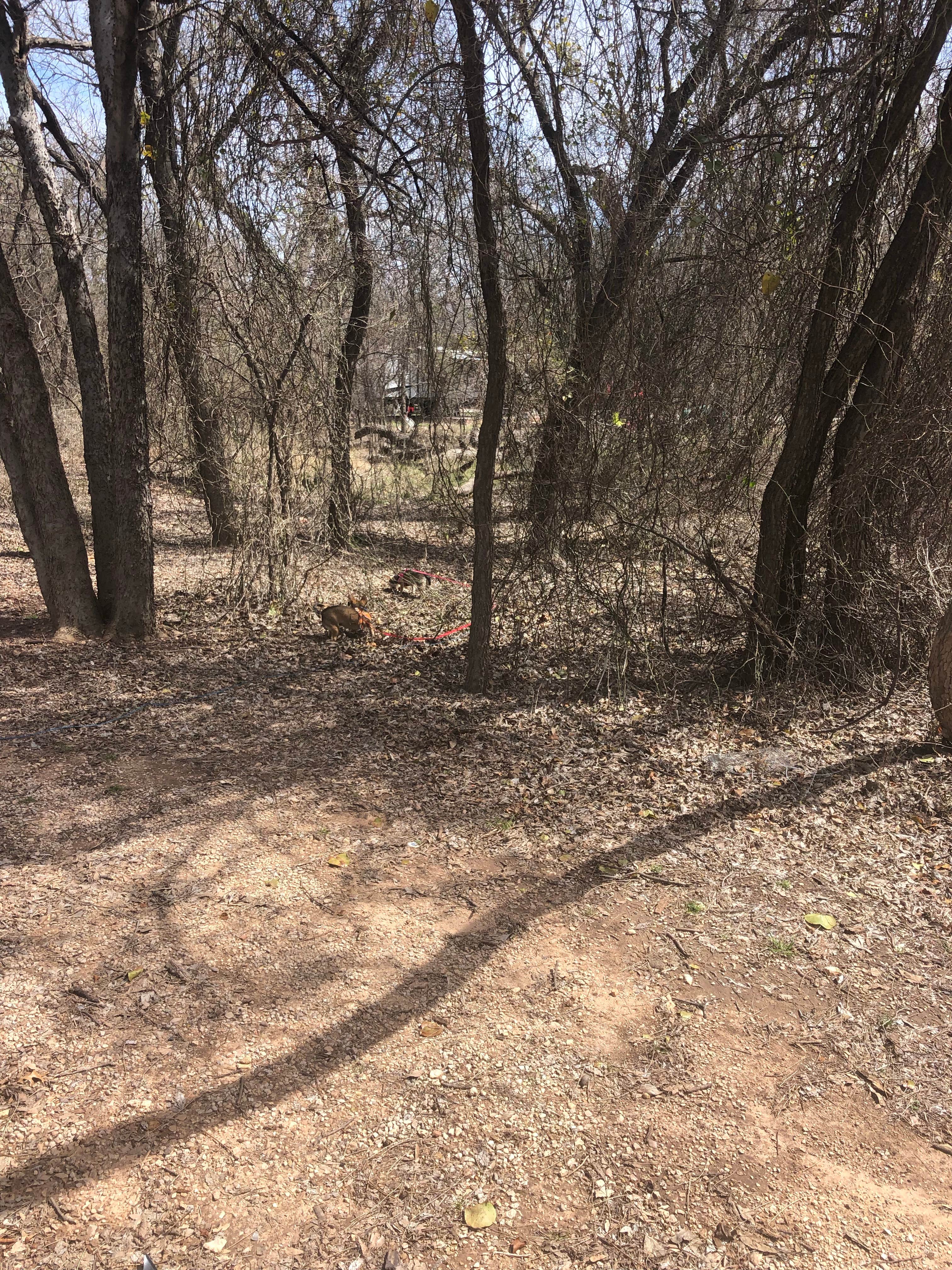 Camper submitted image from Abilene State Park Campground - 5