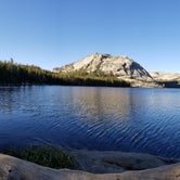 Review photo of Tahoe Valley Campground by Meri S., July 18, 2019