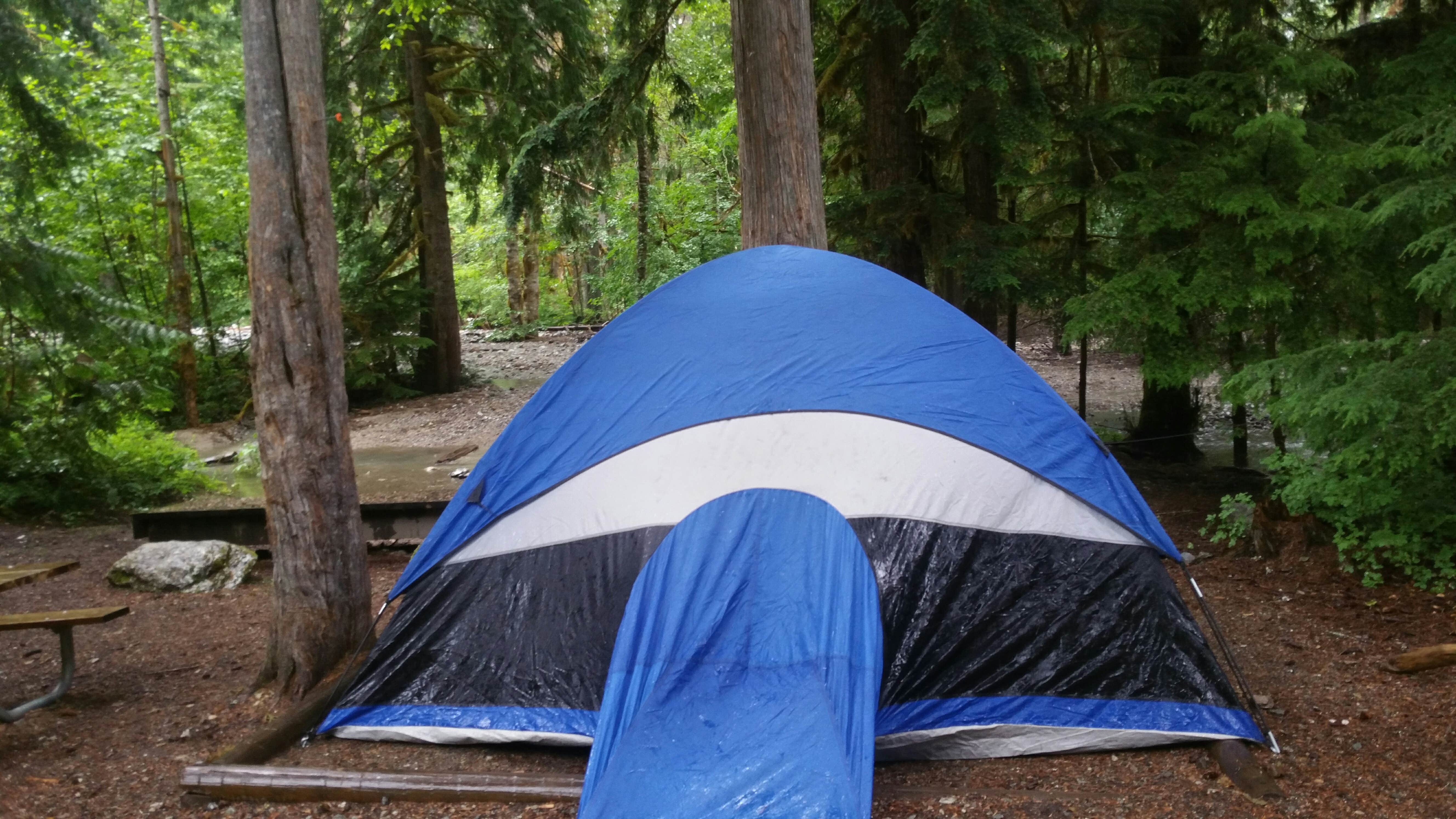 Camper submitted image from Colonial Creek North Campground — Ross Lake National Recreation Area - 3