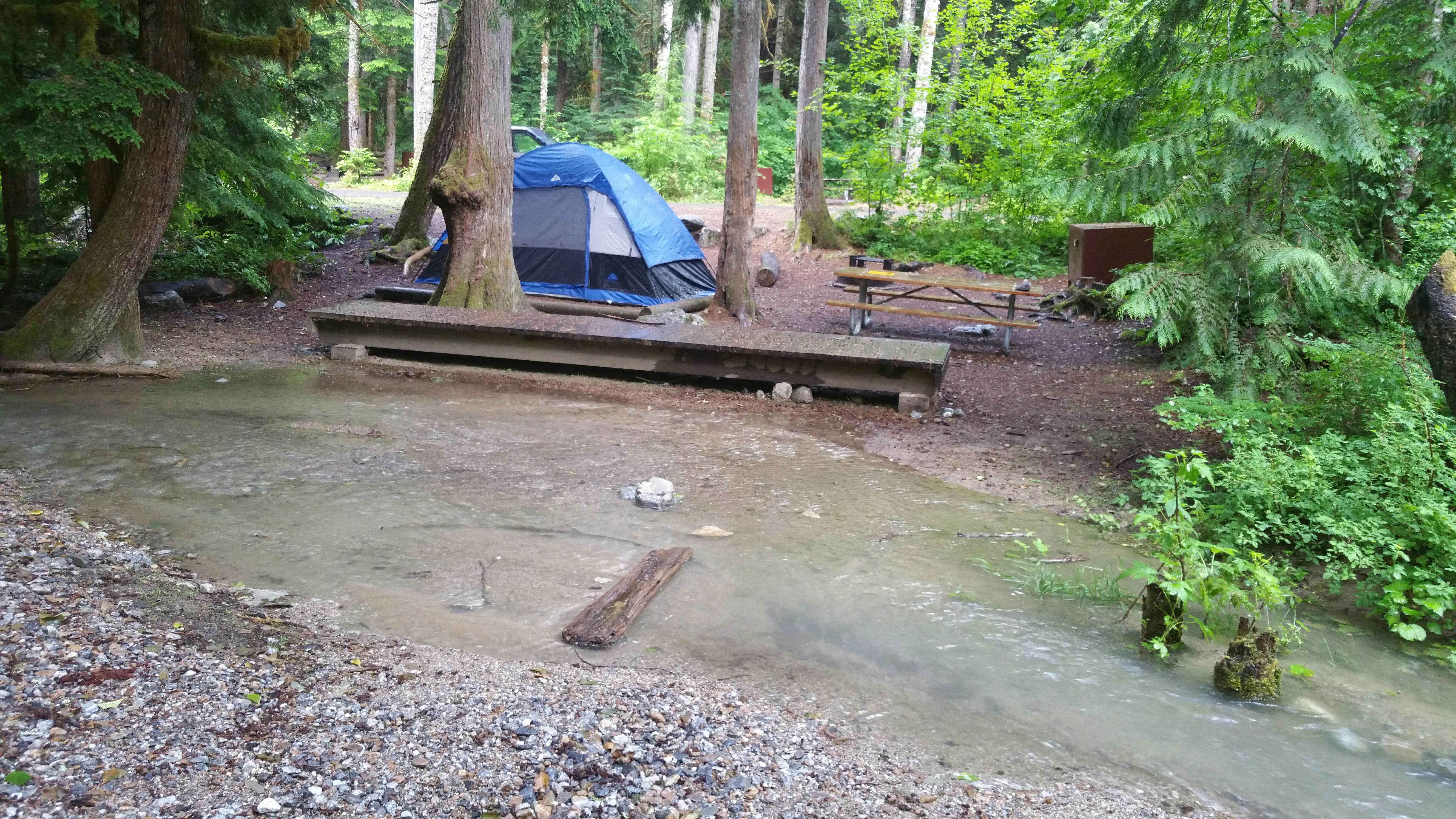 Camper submitted image from Colonial Creek North Campground — Ross Lake National Recreation Area - 4