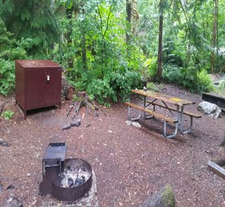 Camper-submitted photo from Colonial Creek North Campground — Ross Lake National Recreation Area
