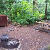 Review photo of Colonial Creek North Campground — Ross Lake National Recreation Area by Andrea R., July 18, 2019