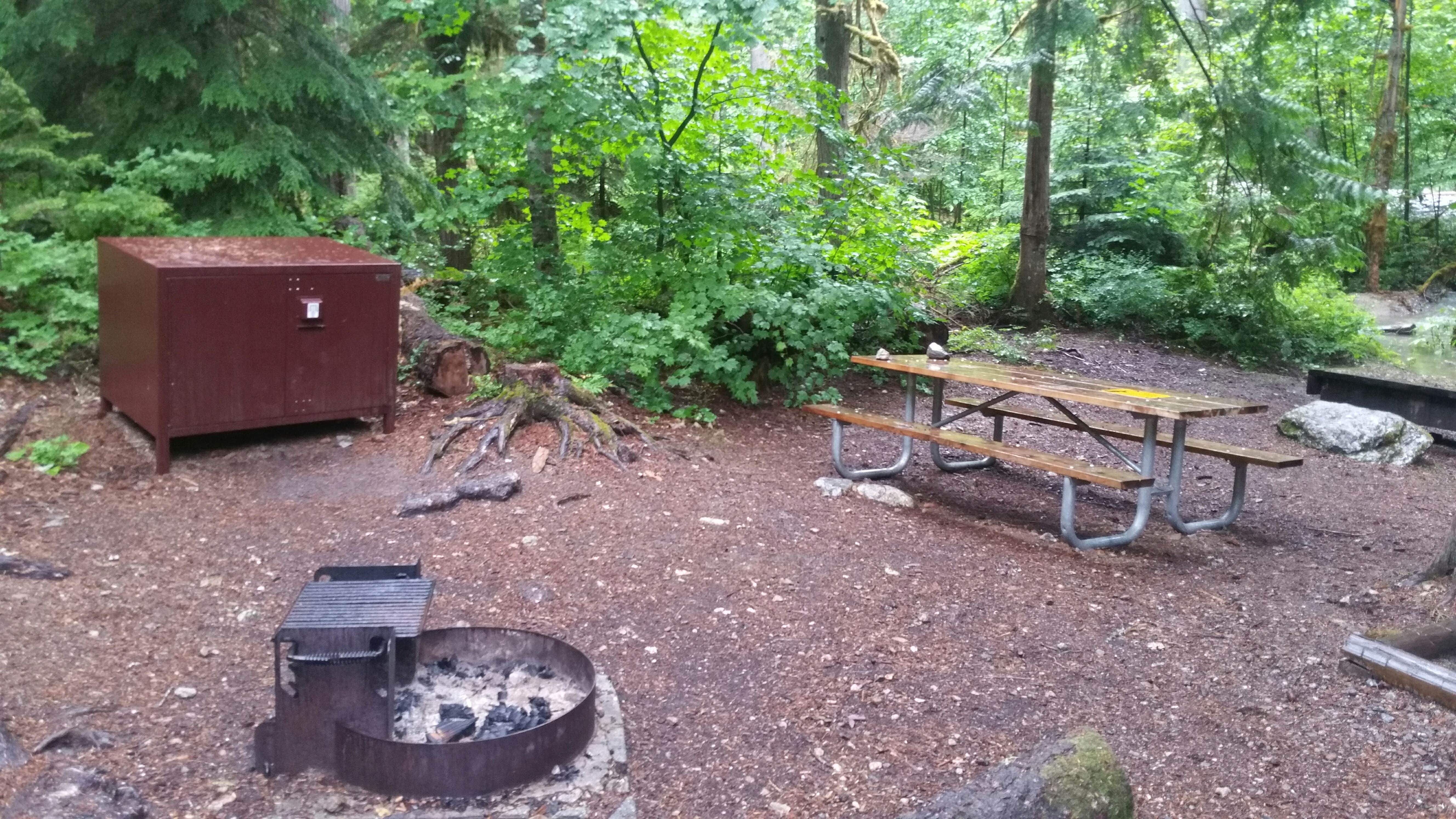 Camper submitted image from Colonial Creek North Campground — Ross Lake National Recreation Area - 2