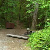 Review photo of Colonial Creek North Campground — Ross Lake National Recreation Area by Andrea R., July 18, 2019