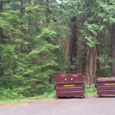 Review photo of Colonial Creek North Campground — Ross Lake National Recreation Area by Andrea R., July 18, 2019