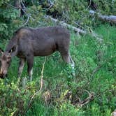 Review photo of Grandview Campground by Michael S., July 19, 2019