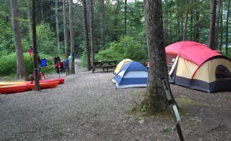 John B.'s photo at Locust Lake State Park Campground near Mount Carmel, PA