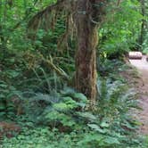 Review photo of Clear Creek Campground by Andrea R., July 19, 2019